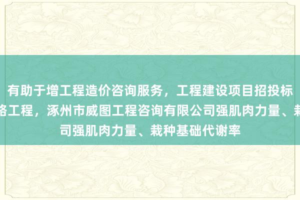有助于增工程造价咨询服务，工程建设项目招投标代理服务，公路工程，涿州市威图工程咨询有限公司强肌肉力量、栽种基础代谢率