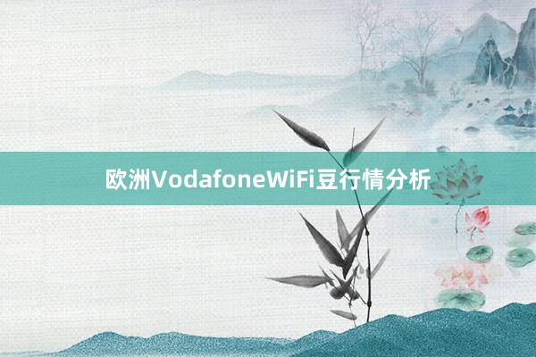 欧洲VodafoneWiFi豆行情分析